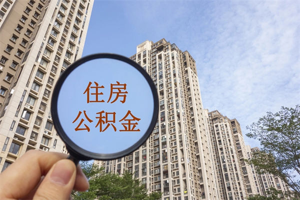 南城上海封存公积金代提（南城上海封存公积金代提多久到账）